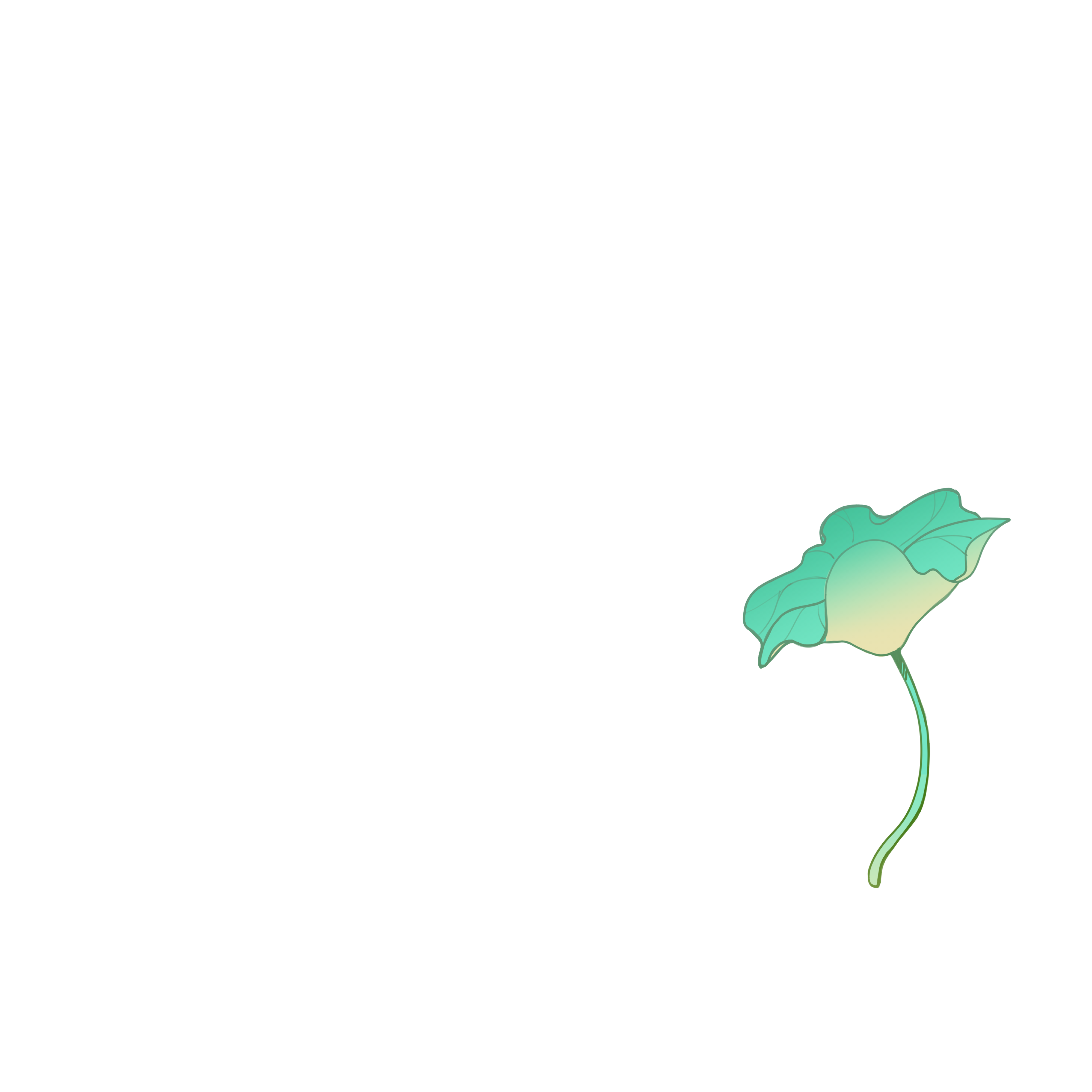 Lotus Leaf Foreground